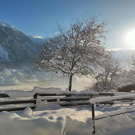 Apartment Haslinggut