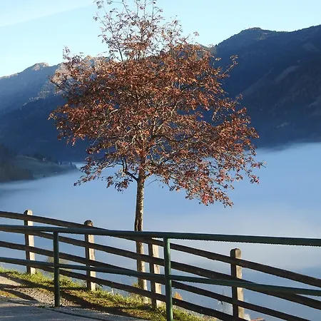 Haslinggut Apartment