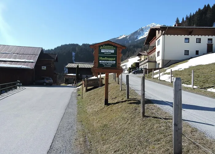 Appartement Haslinggut Bad Hofgastein