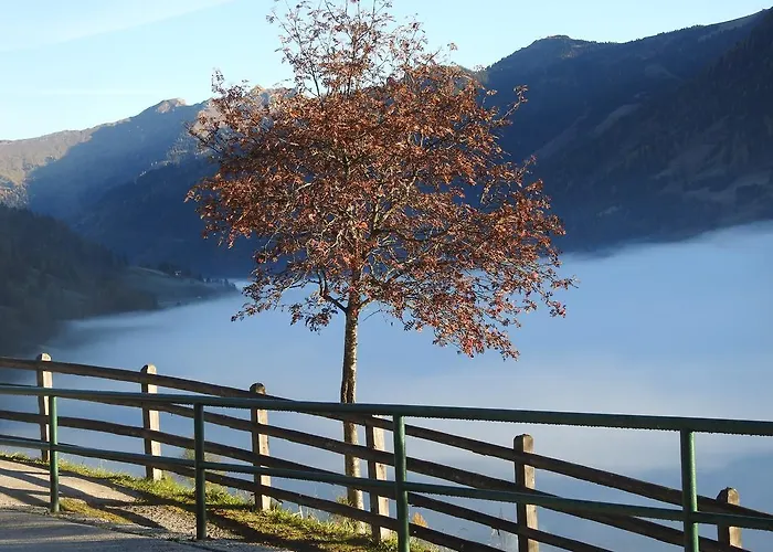 Haslinggut Appartement